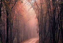 21-22賽季意甲聯賽第8輪比賽集錦.