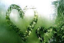 《曼晚》：曼聯閉門比賽不敵升班馬，仍須咬緊牙關向前衝！.