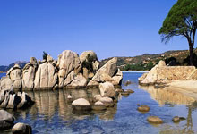 《曼晚》：曼聯閉門比賽不敵升班馬，仍須咬緊牙關向前衝！.